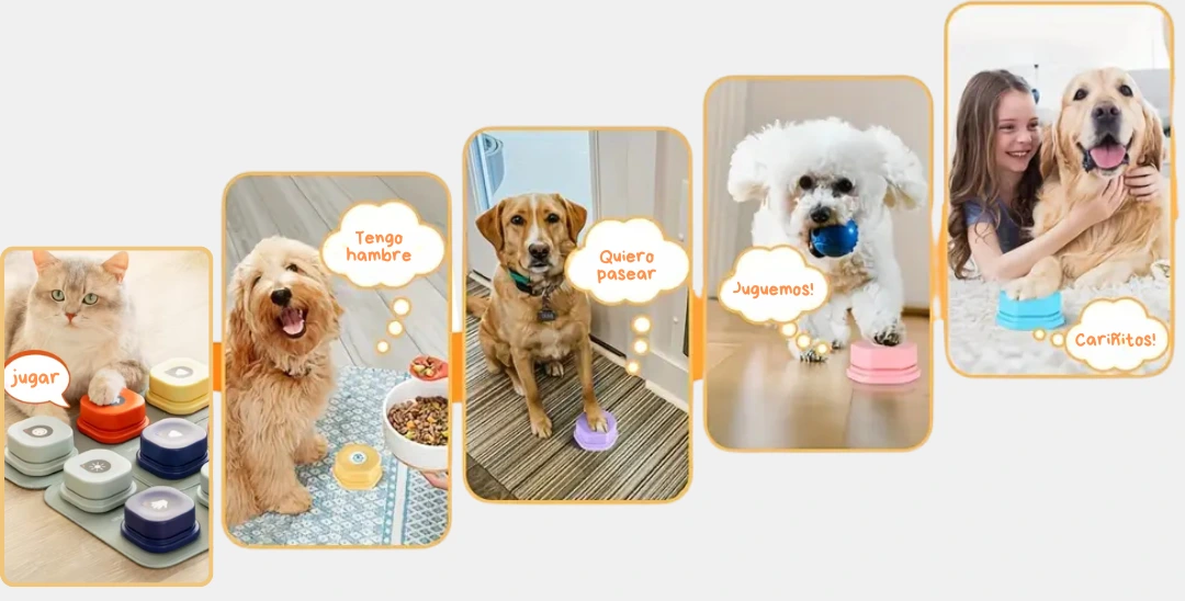 boton para mascotas riqui tienda 1 Todo lo que buscas, ¡lo tenemos para ti!