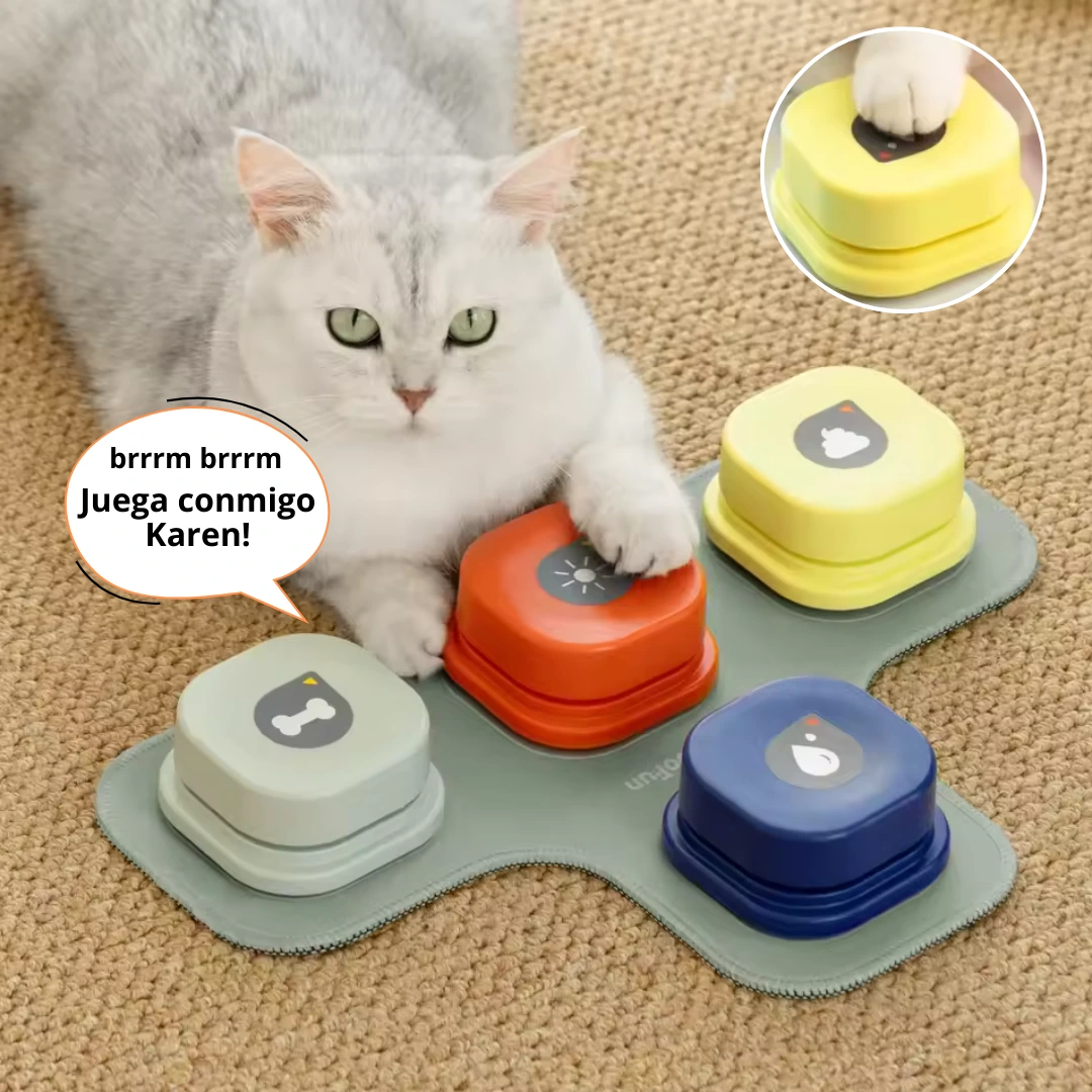 gato usando el boton entrenador para perros y gatos HiBOT, pidiendo que jueguen con él