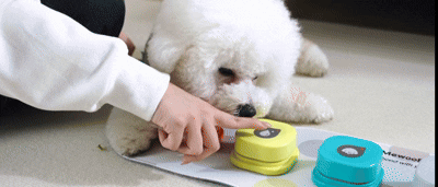 botón HiBOT de fácil uso y para un fácil aprendizaje. Mascotas aprenden fácilmente y rápido