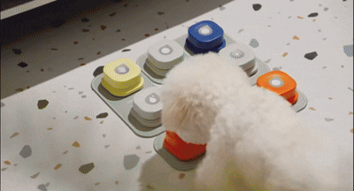 🔥¡Lleva 5, Paga 4!🐶 Botón Entrenador para mascotas 🔊 HiBOT 😸