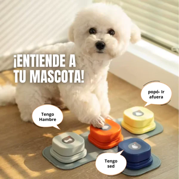 perro usando el boton entrenador para perros, boton comunicador para perros y gatos, boton entrenador para mascotas HiBOT. Comunica sus necesidades sin estres