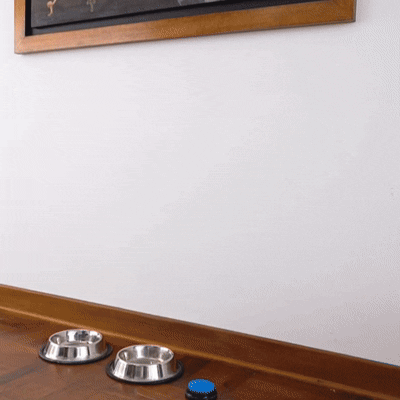 🔥¡Lleva 5, Paga 4!🐶 Botón Entrenador para mascotas 🔊 HiBOT 😸
