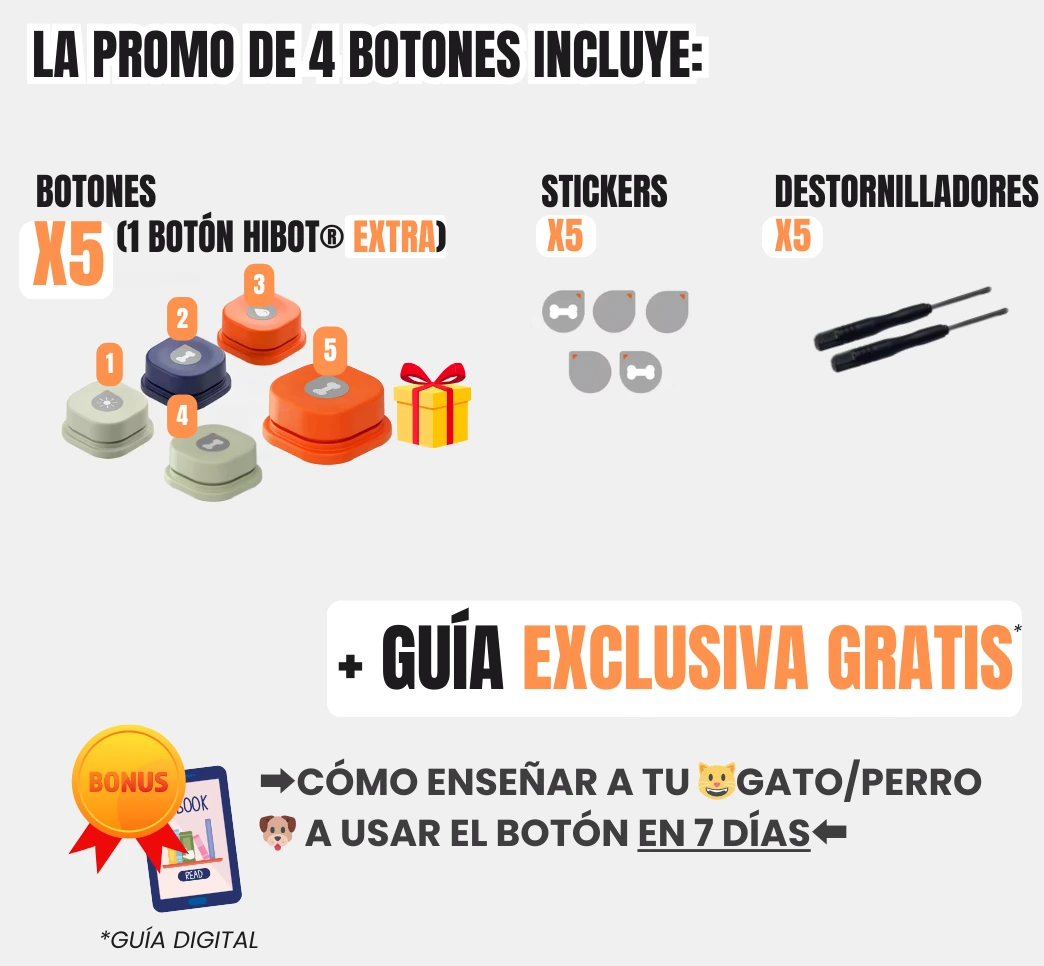 que incluye la promo de 4 Todo lo que buscas, ¡lo tenemos para ti!